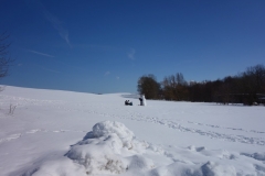 Schneemann in Reddelich